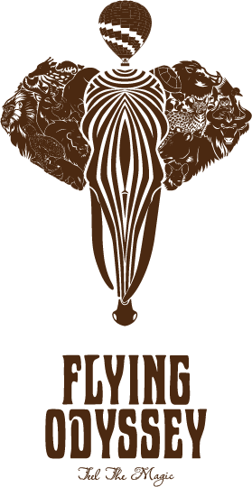 flying oddyssey logo