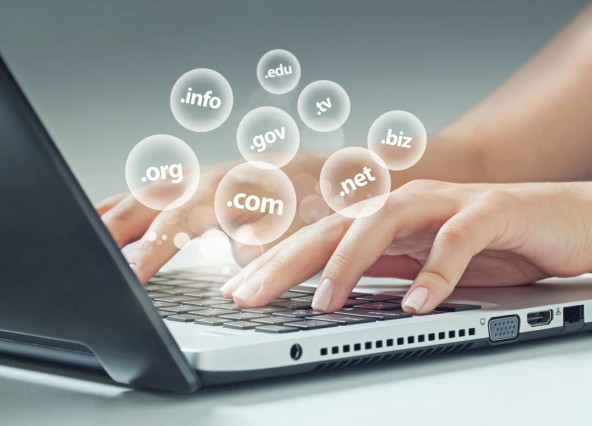 Domain Name Disputes