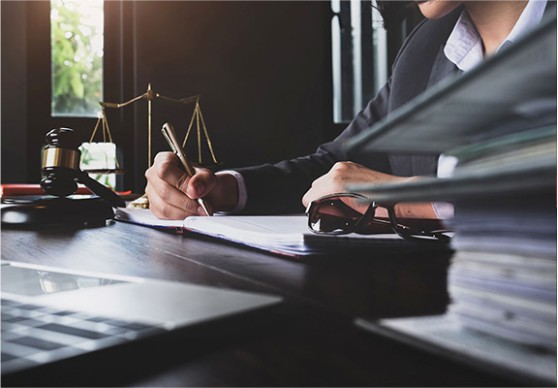 Litigation